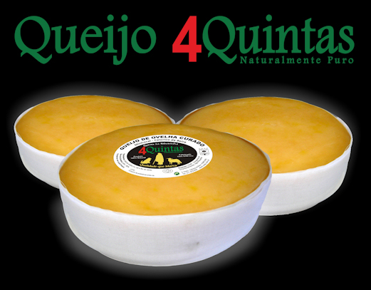 logo de 220 por 80 pixel
